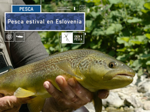 Imagen de Pesca estival en Eslovenia - 2
