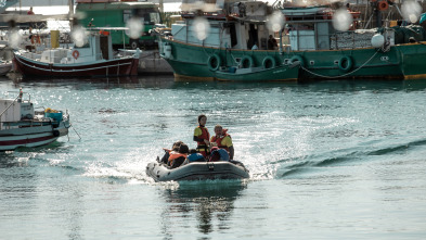 Imagen de (LSE) - Mediterráneo - 10