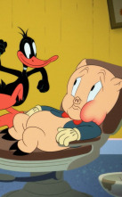 Imagen de Looney Tunes... (T1): Carrera tortu-osa / Lucas, el dentista - 1