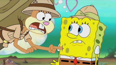 Bob Esponja  Single Story - Tratamiento ejecutivo