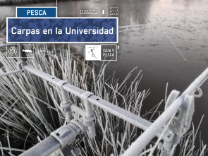 Imagen de Carpas en la Universidad - 2