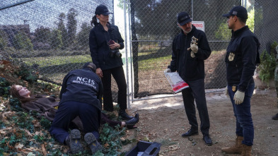 Imagen de NCIS: Naval... (T19): Ep.9 Memoria colectiva - 5