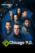 Imagen de Chicago P.D. (T9) - 1