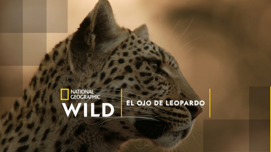 Imagen de El ojo de leopardo - 2