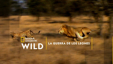 Imagen de La guerra de los leones - 2