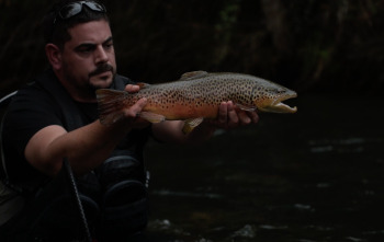 Imagen de Streamerman (T1): Jordi Guerra - 3