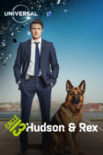 Hudson y Rex (T1)
