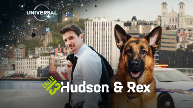 Hudson y Rex (T2)