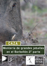 Imagen de Montería de grandes jabalies en El Borbollón. 2ª parte - 1