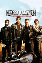 Imagen de Cerdos salvajes: Con un par... de ruedas - 1
