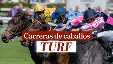 Carreras de Caballos- Turf - Dos Hermanas