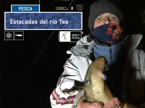 Imagen de Estacadas del río Tea - 2