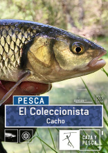 Imagen de El coleccionista: Cacho - 1