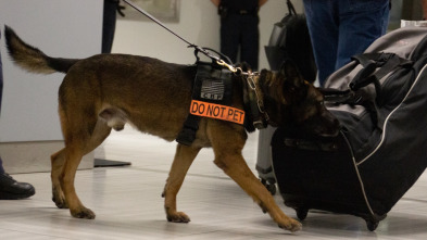 Imagen de Control de aeropuertos: Avisos de seguridad  - 3