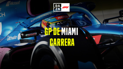 GP de Miami (Miami): GP de Miami: Carrera