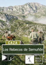 Imagen de Los rebecos de Semuñon - 1