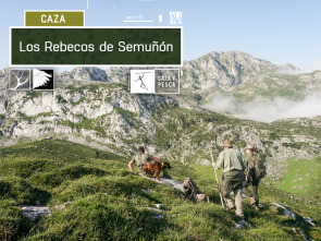 Imagen de Los rebecos de Semuñon - 2