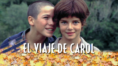 Imagen de El viaje de Carol - 2