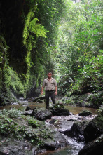 Imagen de Mundos inexplorados...: Gabón: expedición al paraíso selvático - 9