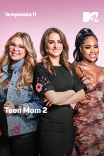 Imagen de Teen Mom 2 (T11) - 3