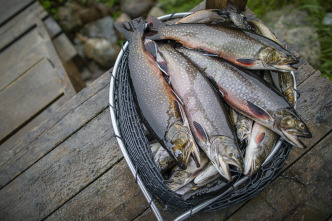 Quebec a vista de... (T11): Pesca de depredadores en la región de Eeyou Istchee James-Bay