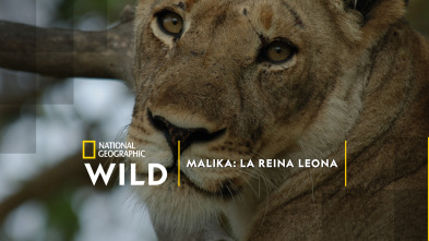 Malika: la reina leona 