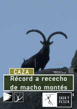 Imagen de Récord a rececho de macho montés - 1