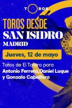 Feria de San Isidro (T2022): Toros de El Torero para Antonio Ferrera, Daniel Luque y Gonzalo Caballero (12/05/2022)