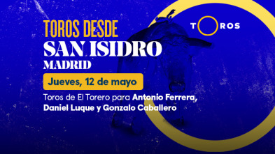 Feria de San Isidro (T2022): Toros de El Torero para Antonio Ferrera, Daniel Luque y Gonzalo Caballero (12/05/2022)