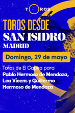 Feria de San Isidro (T2022): Toros de El Capea para  L. Vicens y G. Hermoso de Mendoza (29/05/2022)