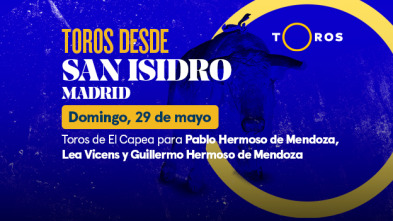 Feria de San Isidro (T2022): Toros de El Capea para  L. Vicens y G. Hermoso de Mendoza (29/05/2022)
