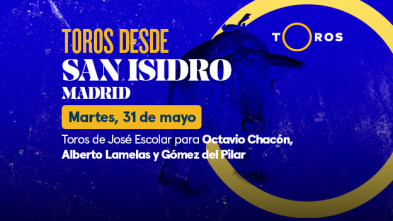 Feria de San Isidro (T2022): Toros de José Escolar para Octavio Chacón, Alberto Lamelas y Gómez del Pilar (31/05/2022)