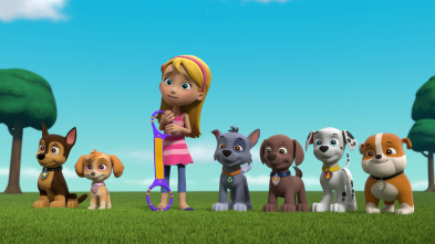 La patrulla canina - La patrulla y Katie detienen a la banda de gatitos que ladran / La patrulla salva unas gafas