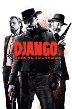 Imagen de Django desencadenado - 1