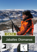 Imagen de Jabalíes Otomanos - 1