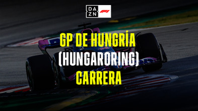 GP de Hungría...: GP de Hungría: Carrera