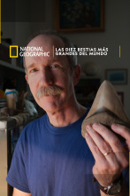 Imagen de Las diez bestias más grandes del mundo - 1