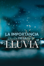 La importancia de la lluvia 