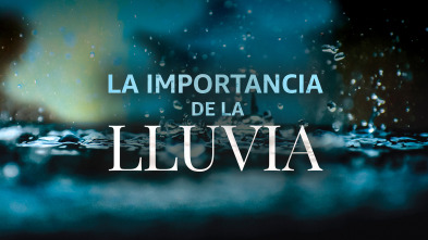 La importancia de la lluvia 