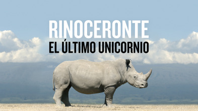 Rinoceronte: el último unicornio
