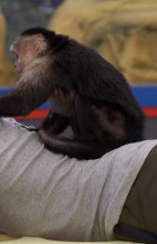 Imagen de Equipo Danger (T2): Ep.1 Un impostor entre nosotros - 1