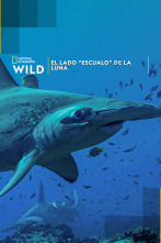 Imagen de El lado 