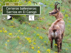 Imagen de Certeros Ballesteros: Sarrios en El Canigó - 2