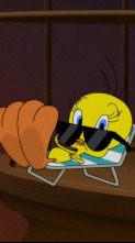 Imagen de Looney Tunes... (T1): La Abuelita boxeadora / El vidente Lucas: Famoso / ¡Sobre ruedas! - 1