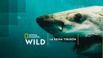 Imagen de La reina tiburón - 2