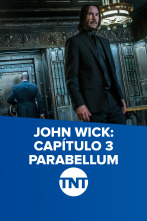 Imagen de John Wick: Capítulo 3 - Parabellum - 1