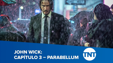 Imagen de John Wick: Capítulo 3 - Parabellum - 2