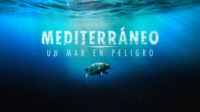 Mediterráneo: un mar en peligro