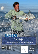 Imagen de De viaje: De Vallarta a Mismaloya - 1