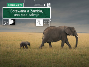 Botswana a Zambia una ruta salvaje